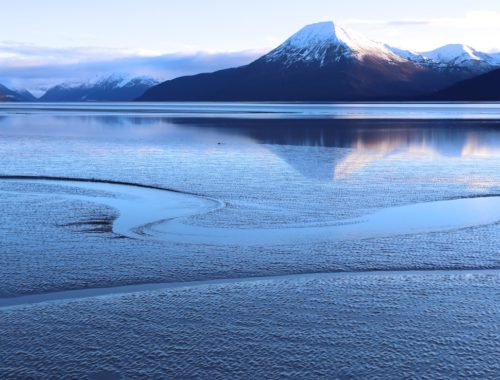 Marc Donadieu ? Glacier City Gazette Looking up at the Eastern end of Turnagain Arm