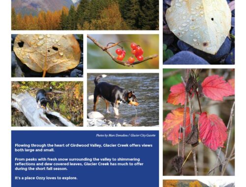 Glacier Creek in Fall